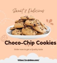 WhatsApp Image 2023-04-25 at 12.02.57 PM