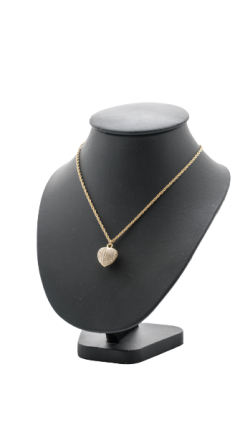 imresizer-1682080390402-removebg-preview